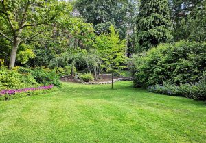 Optimiser l'expérience du jardin à Maisoncelles-en-Gatinais